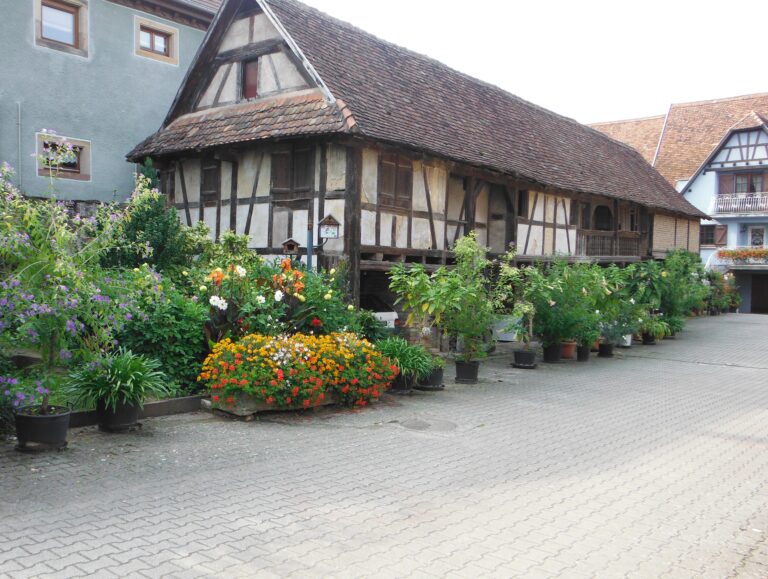 fleurissement 2014-5